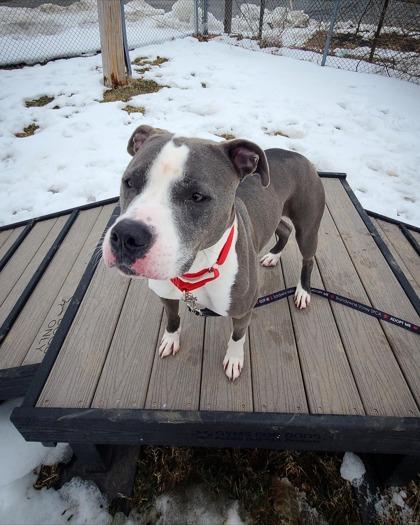 Diamante — thumbnail 2