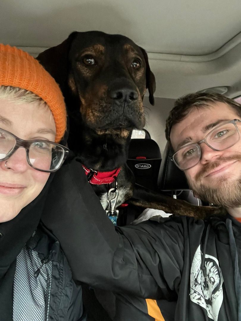 FRIJOL (Mr. Bean), a Adopted mixed breed in New Britain , CT image 3/6