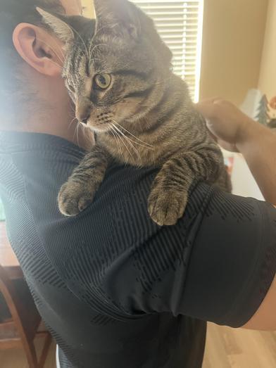 Napoleon — thumbnail 3