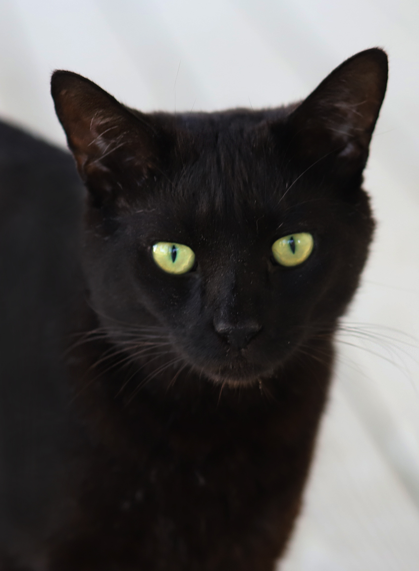 Ennis, Young Male unknown