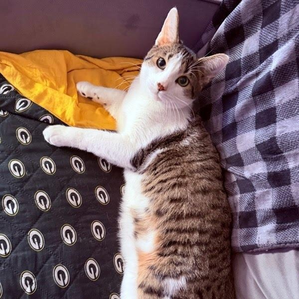 Lenny — thumbnail 5