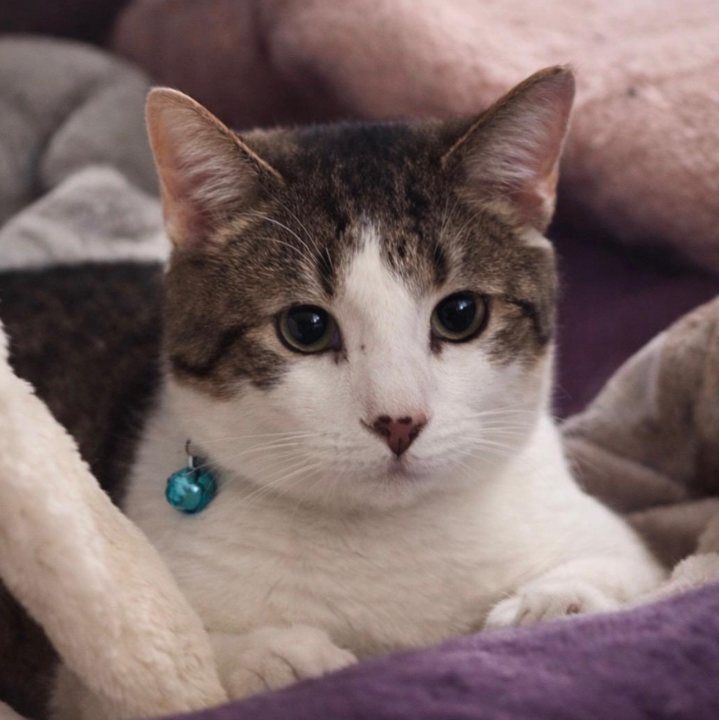 Lenny — thumbnail 6