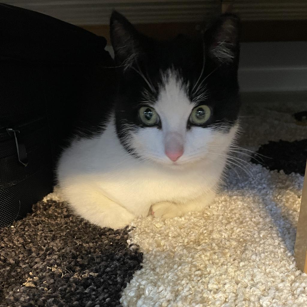 Wally — thumbnail 6