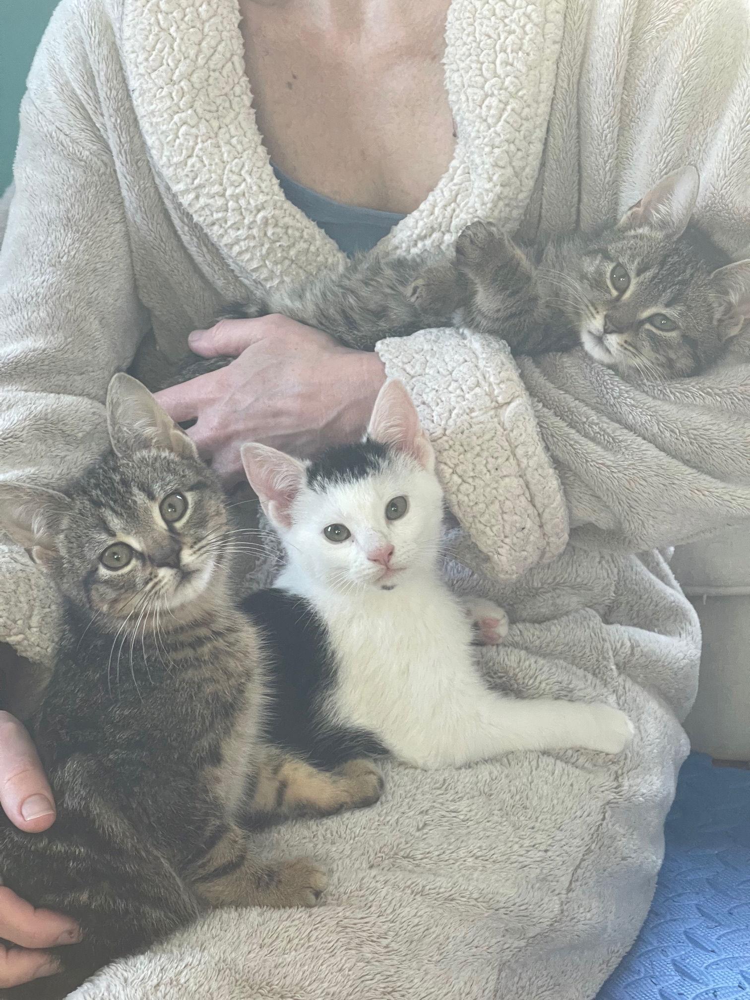 Gamma, Rho and Zeta — thumbnail 3