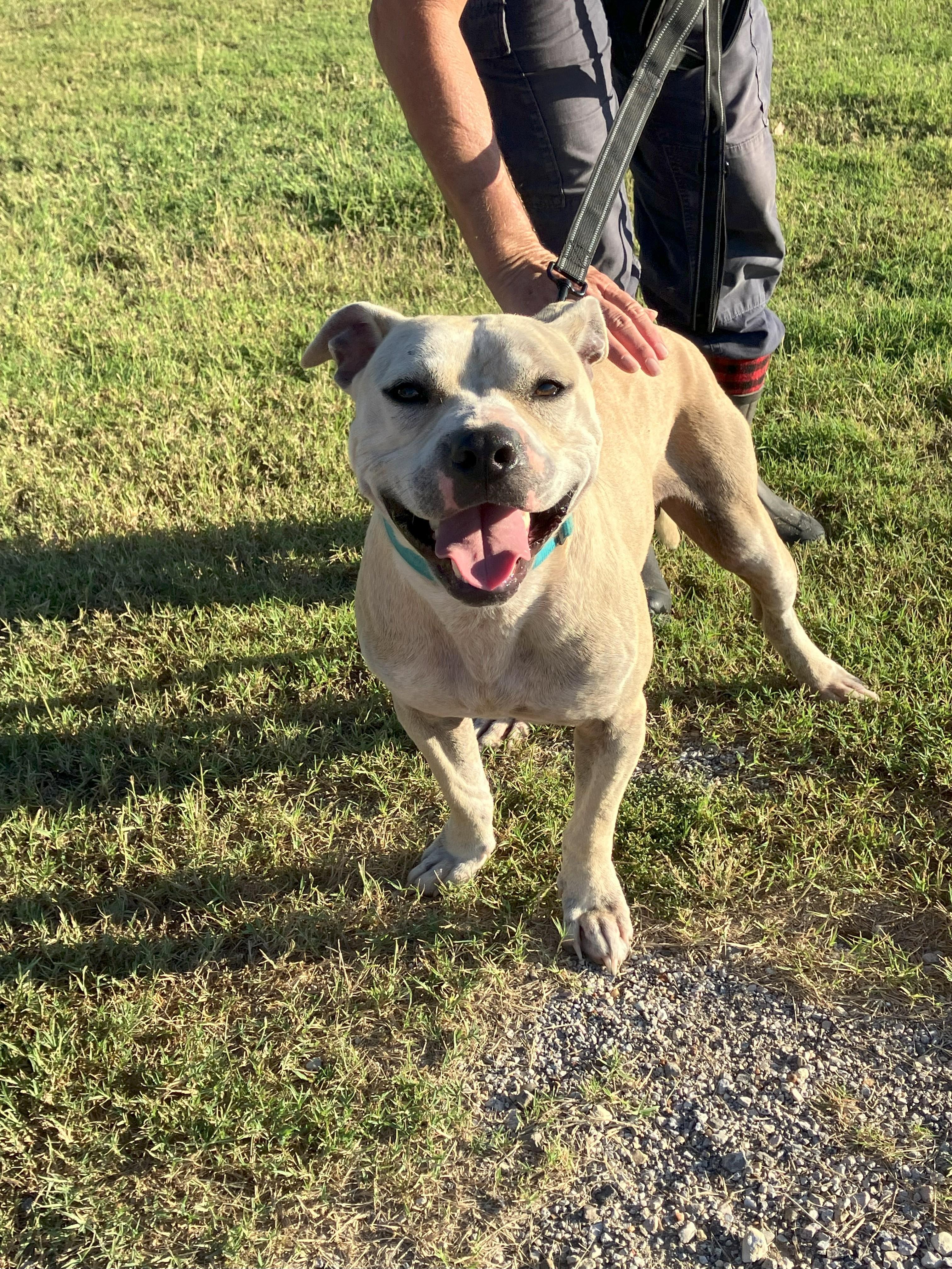 Zach-Big Loveable Potato