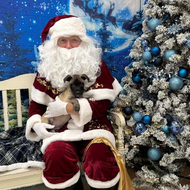 Blue Suede Shoe Eau thumbnail 4