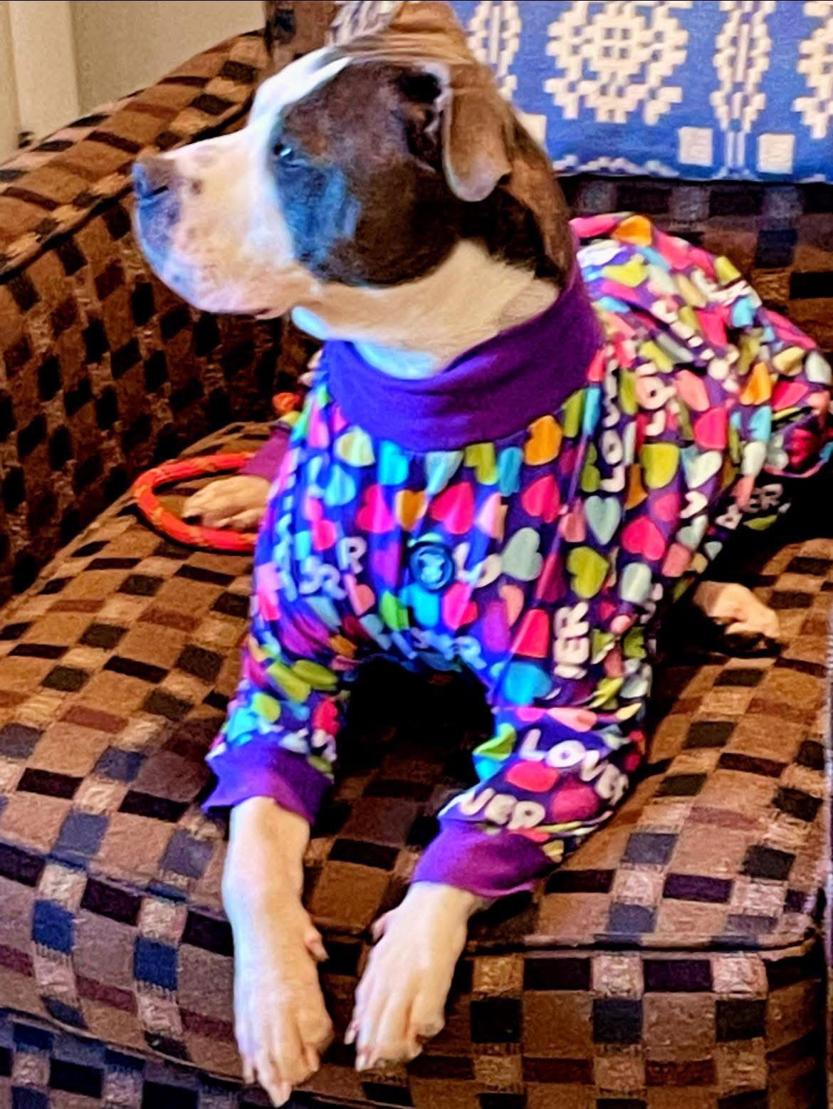 Curly — thumbnail 3