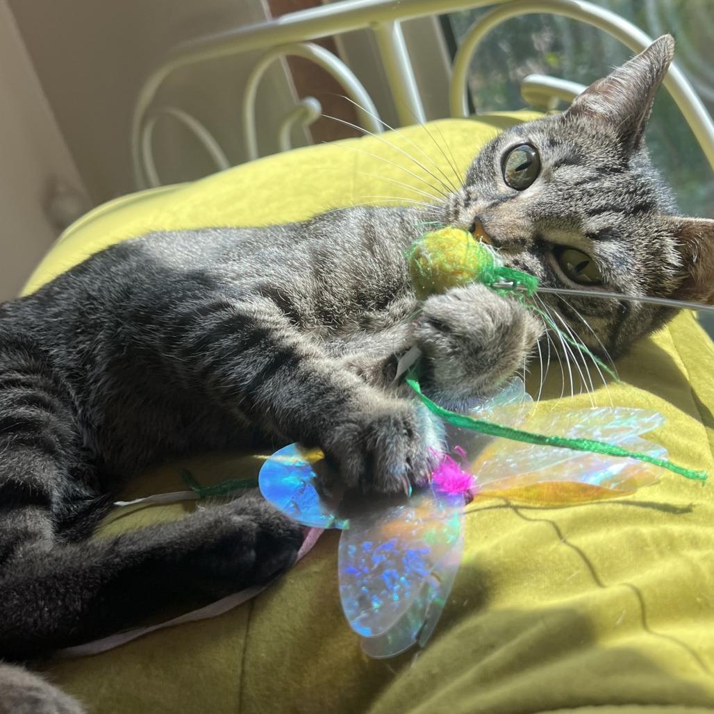 Mila — thumbnail 2