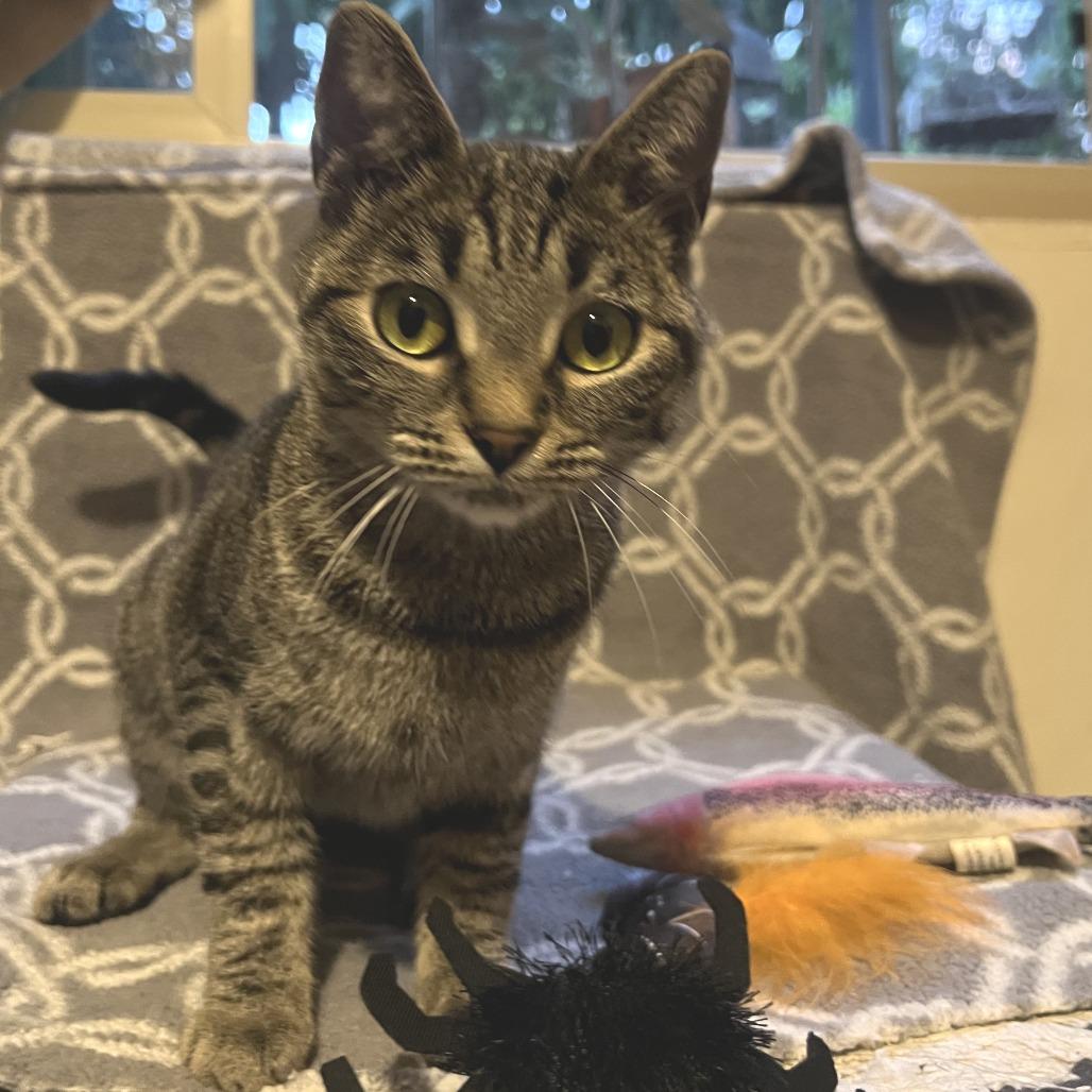 Mila — thumbnail 3