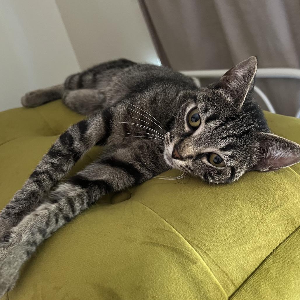 Mila — thumbnail 4