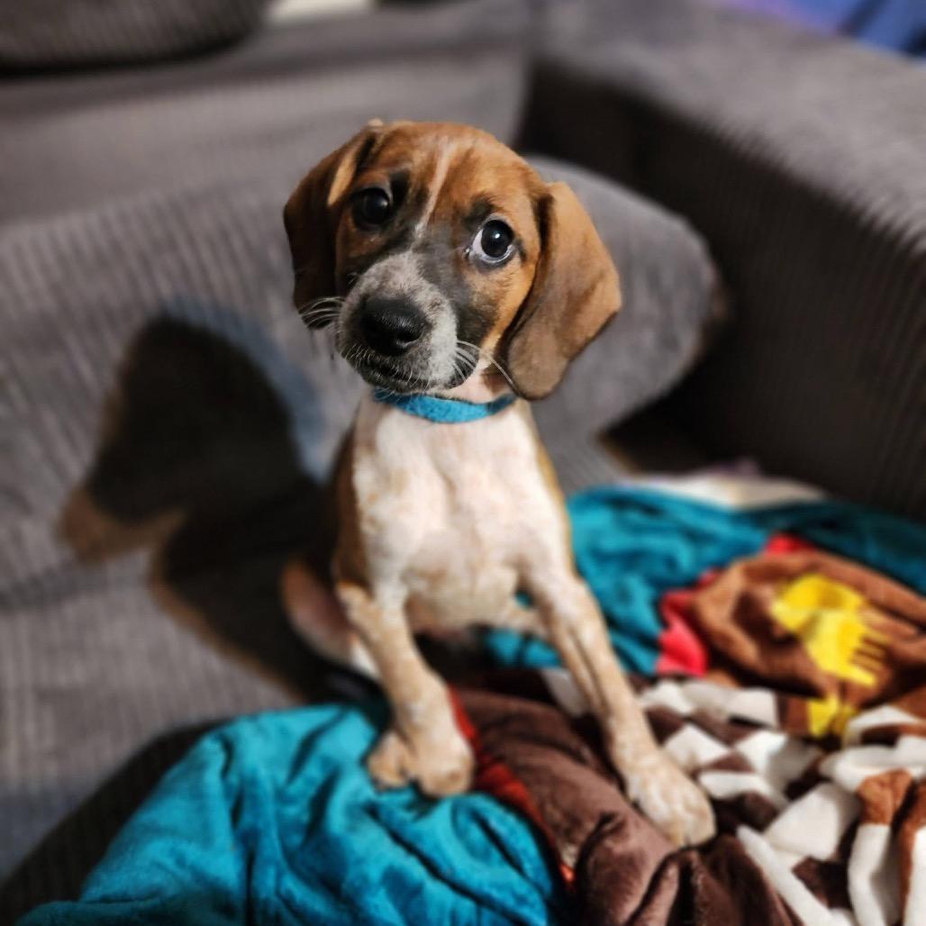 Toaster Oven thumbnail 2