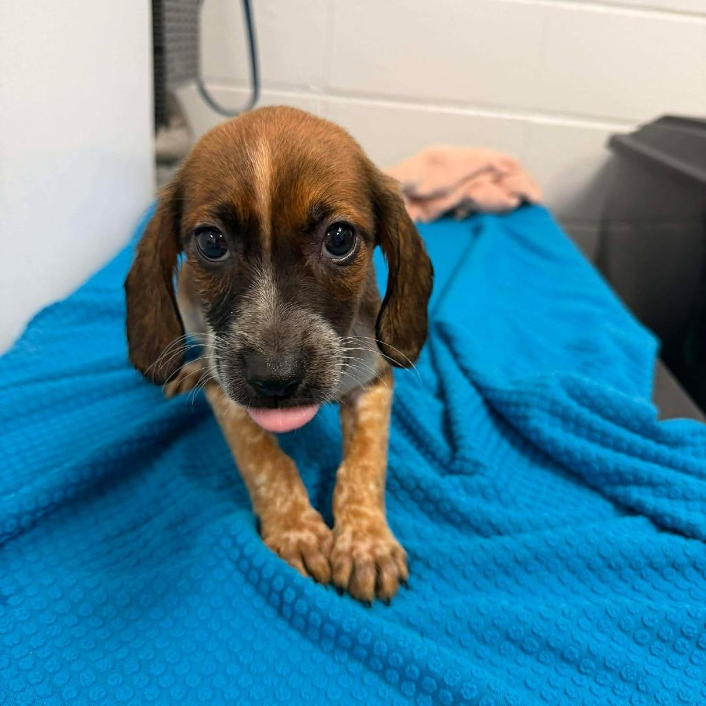 Toaster Oven thumbnail 3