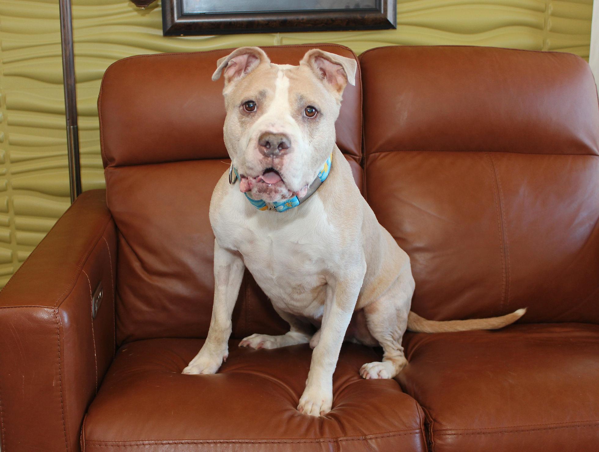 Tyson photo 2