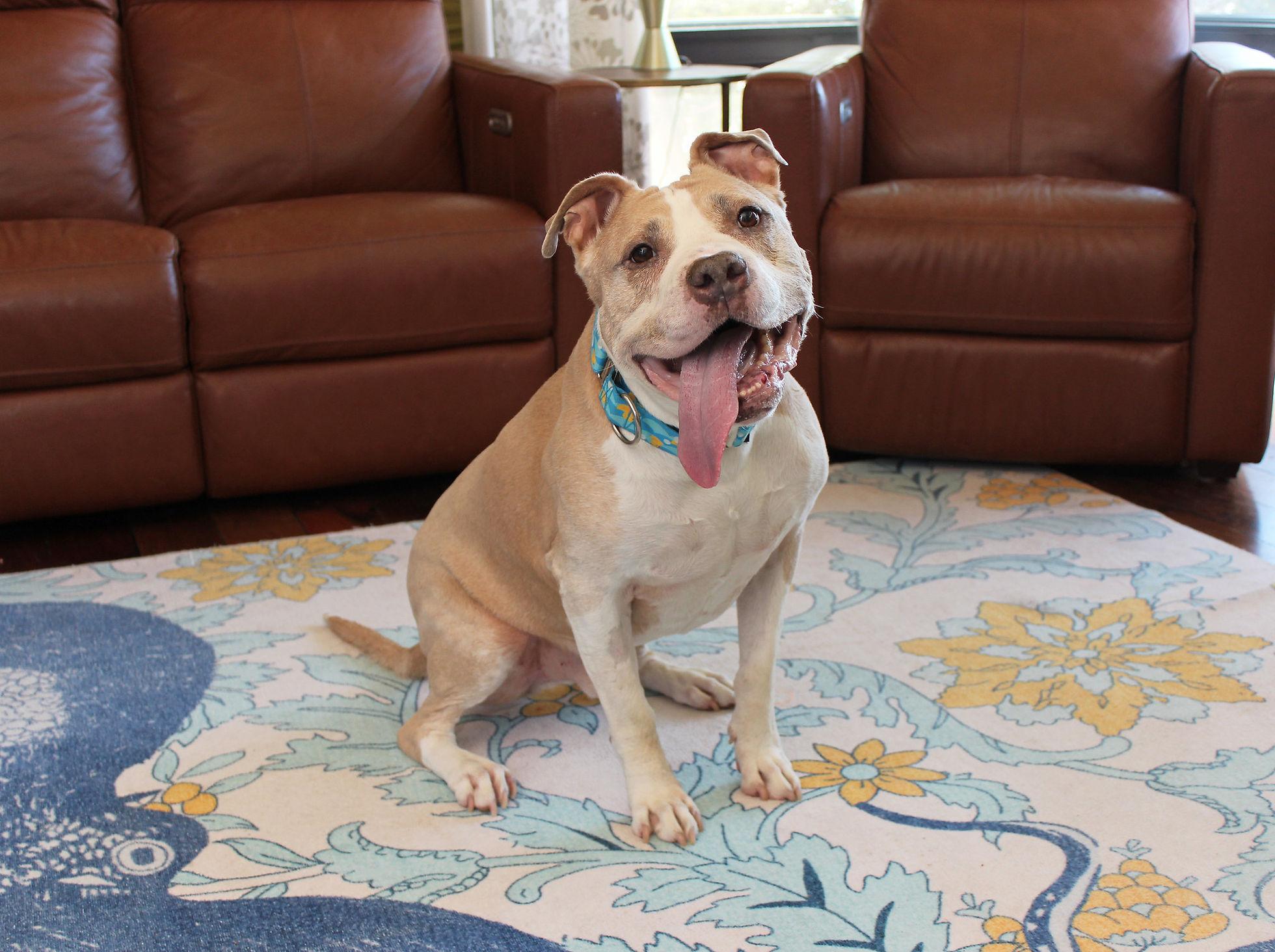 Tyson photo 4