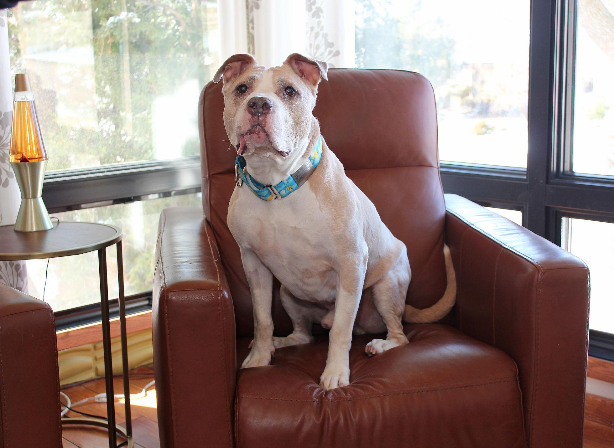 Tyson photo 5