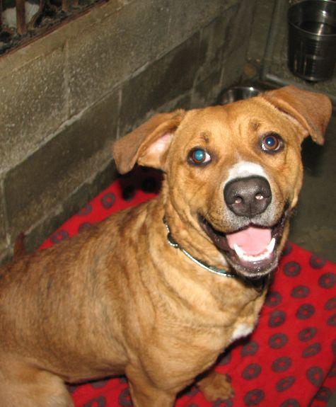 Priscilla thumbnail 2