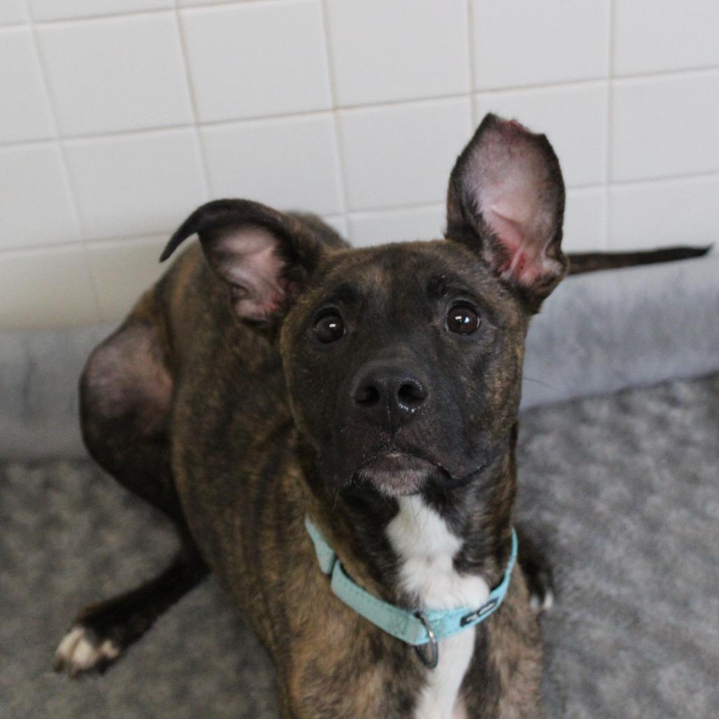 Honeycomb thumbnail 6