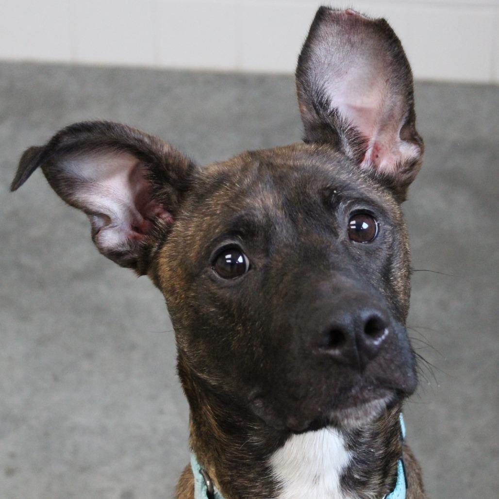 Honeycomb thumbnail 7