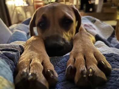 Roman — thumbnail 4