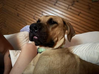 Roman — thumbnail 6