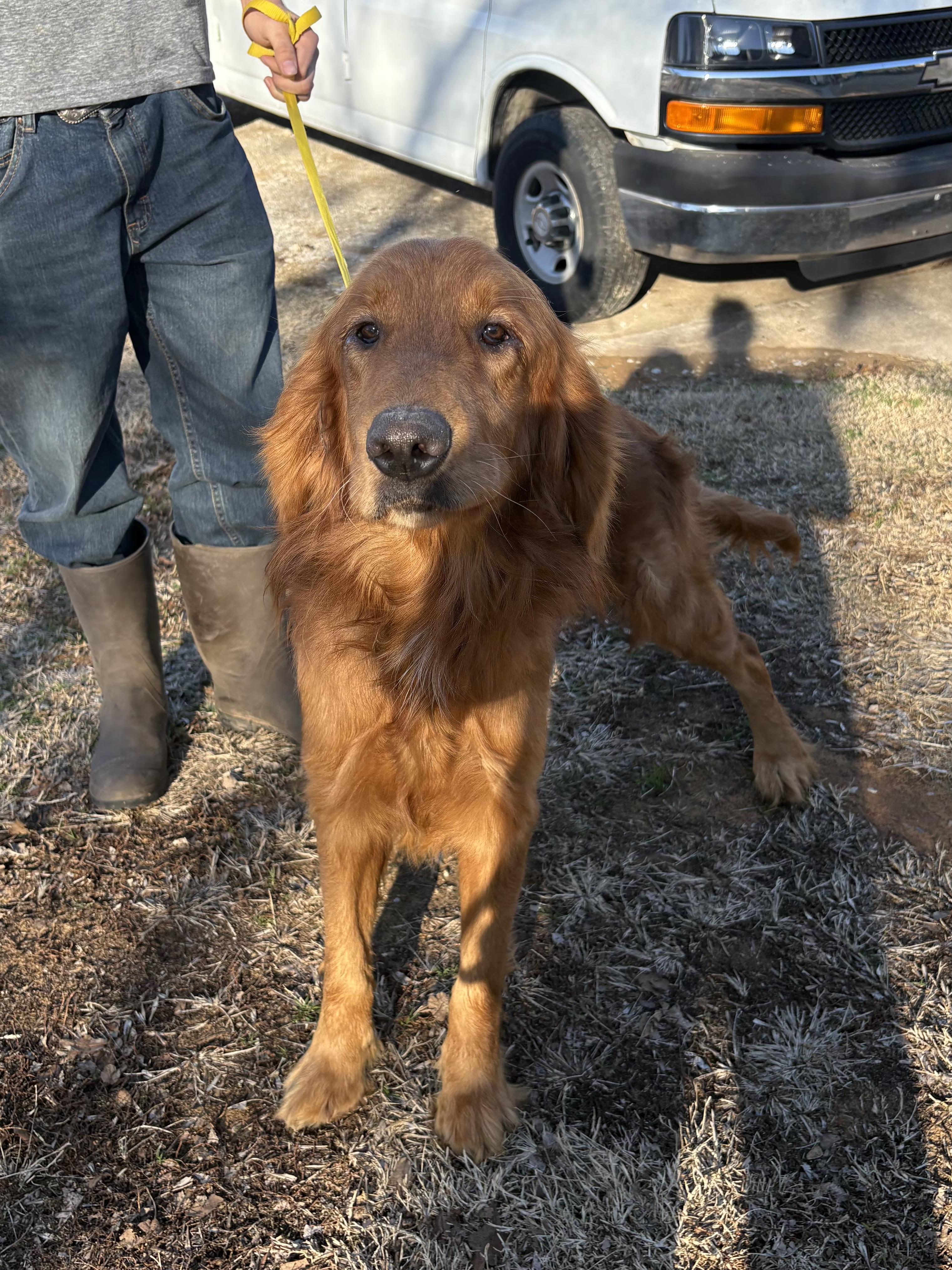 Harley   $ thumbnail 5