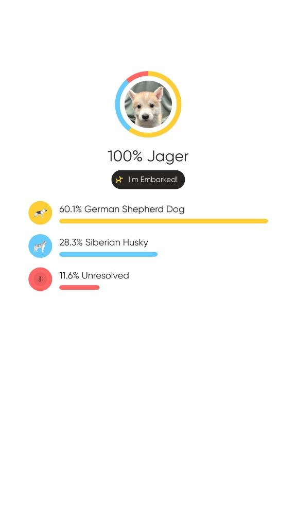 Enlarge Jager, a Adoptable mixed breed in Reno, NV image 3/4