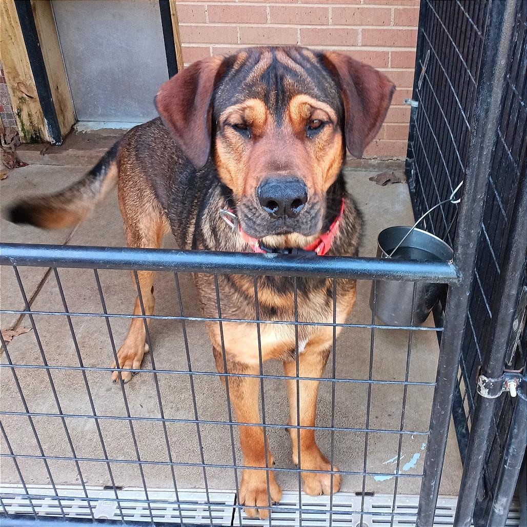 Jordie — thumbnail 2