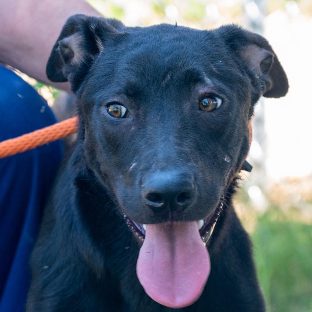 Georgia — thumbnail 3