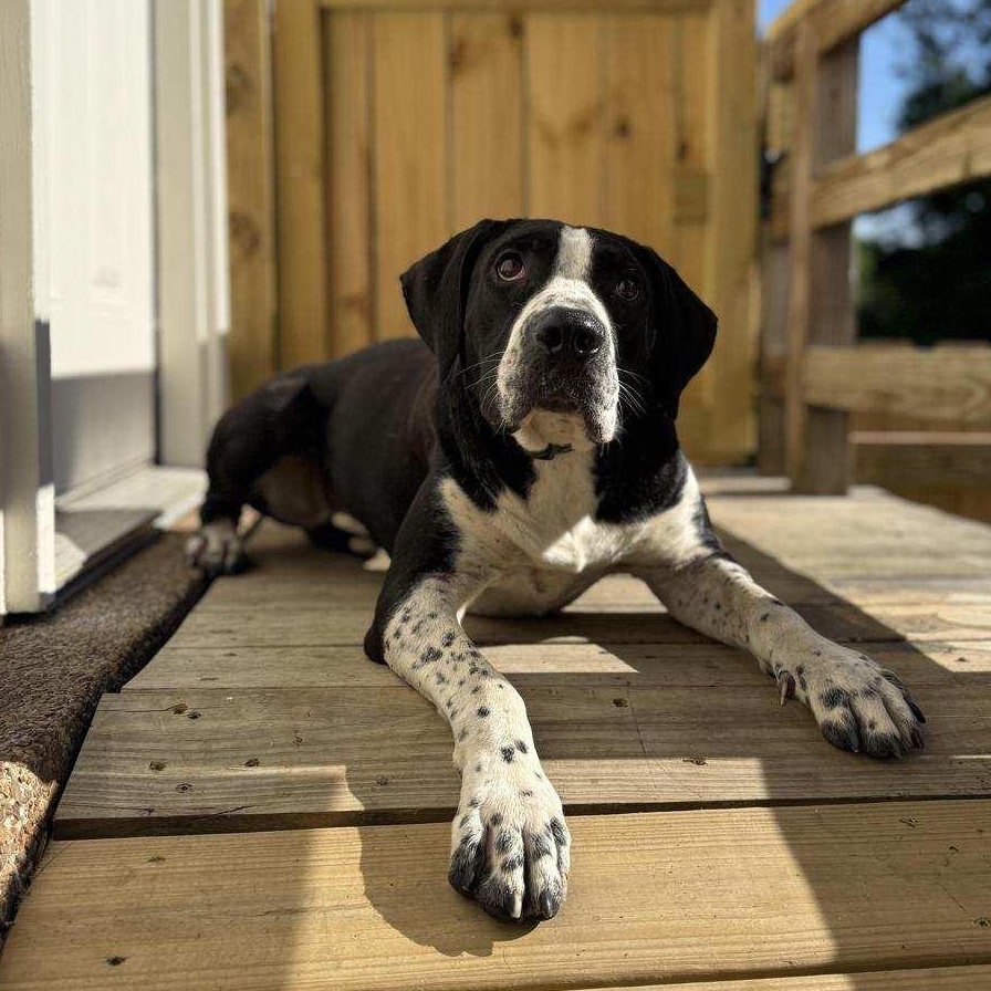 Bella photo 2