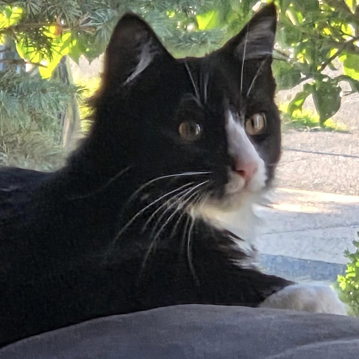 Ethan And Aiden thumbnail 3