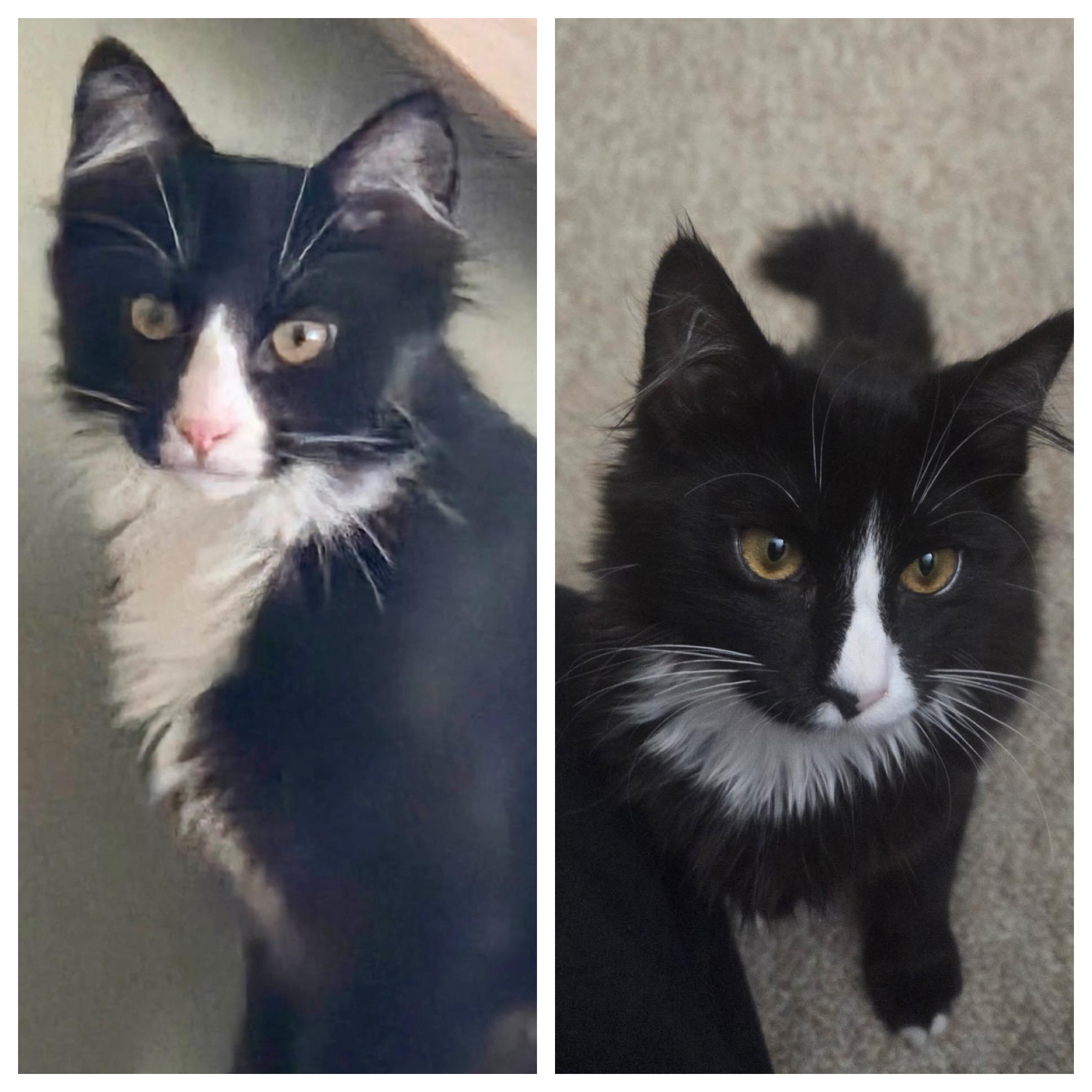 Ethan And Aiden thumbnail 4