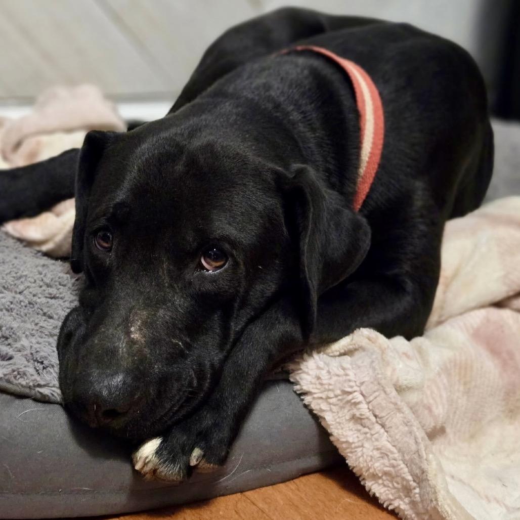 Emma Stone — thumbnail 2