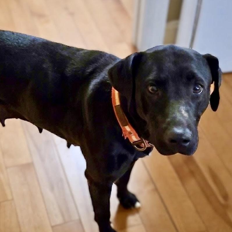 Emma Stone — thumbnail 4