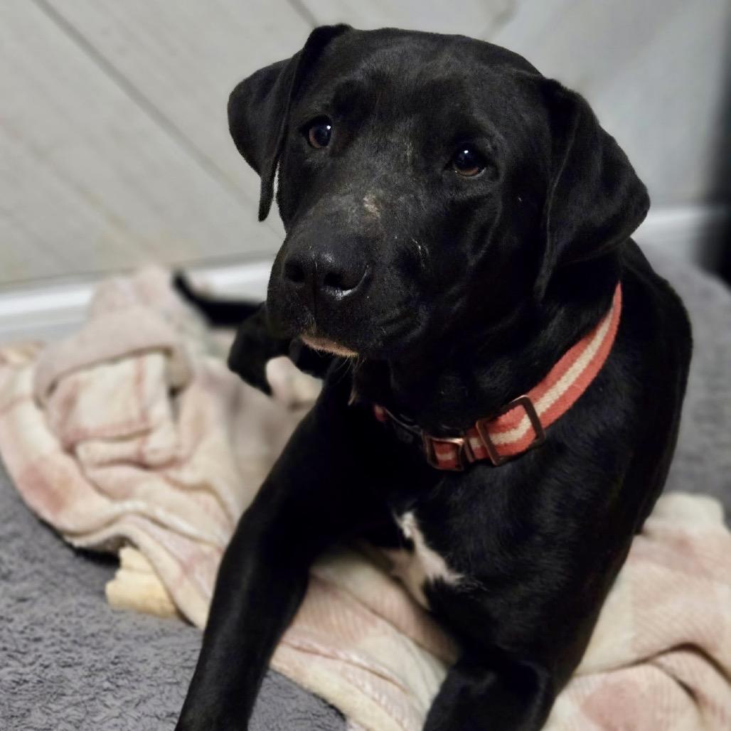 Emma Stone — thumbnail 5