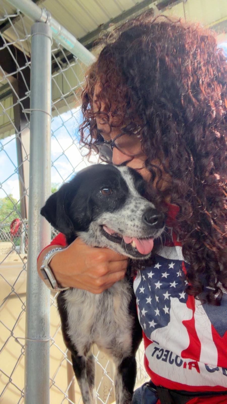 Enlarge Nala, a ADOPTABLE mixed breed in Brooklyn, NY image 2/5