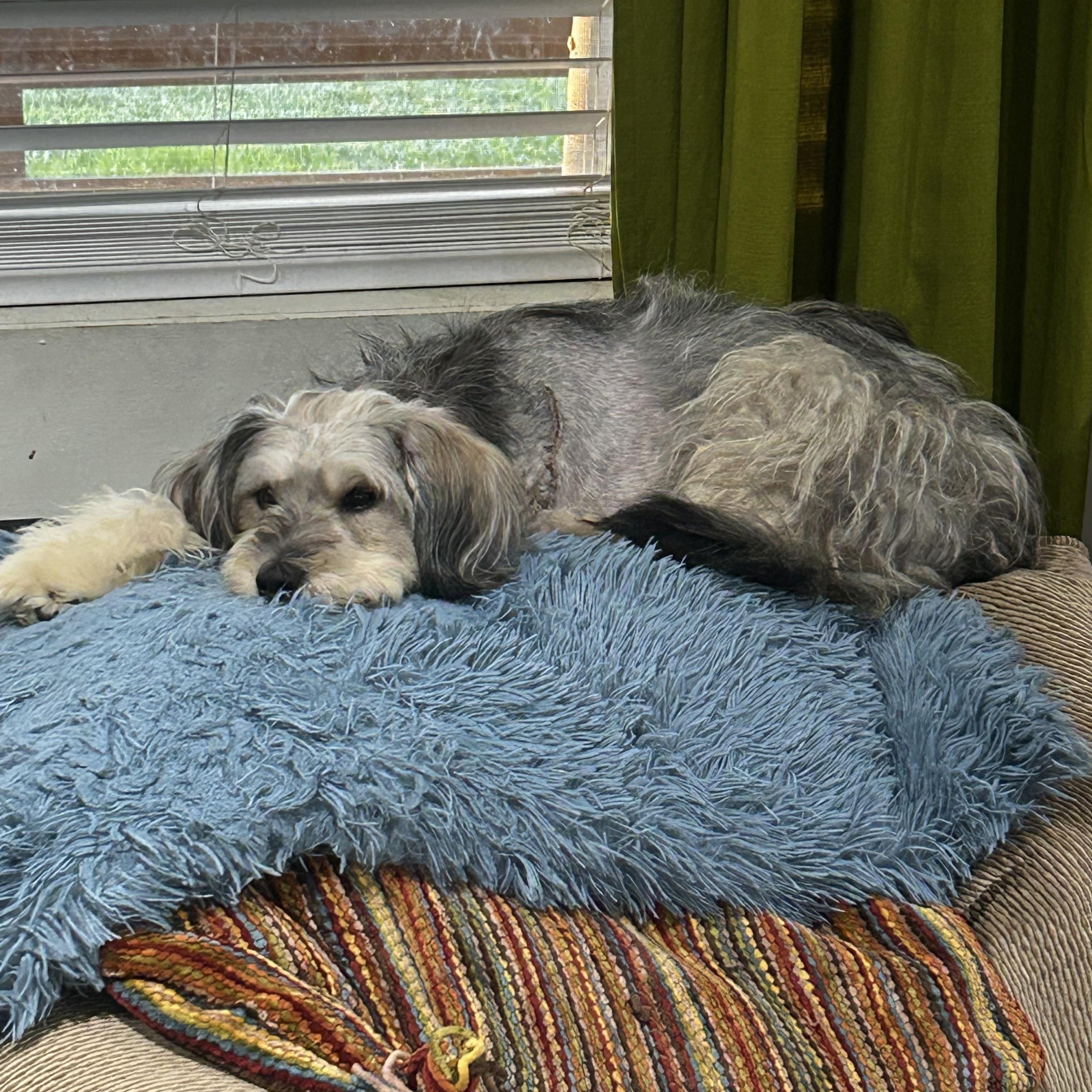 Evie photo 3