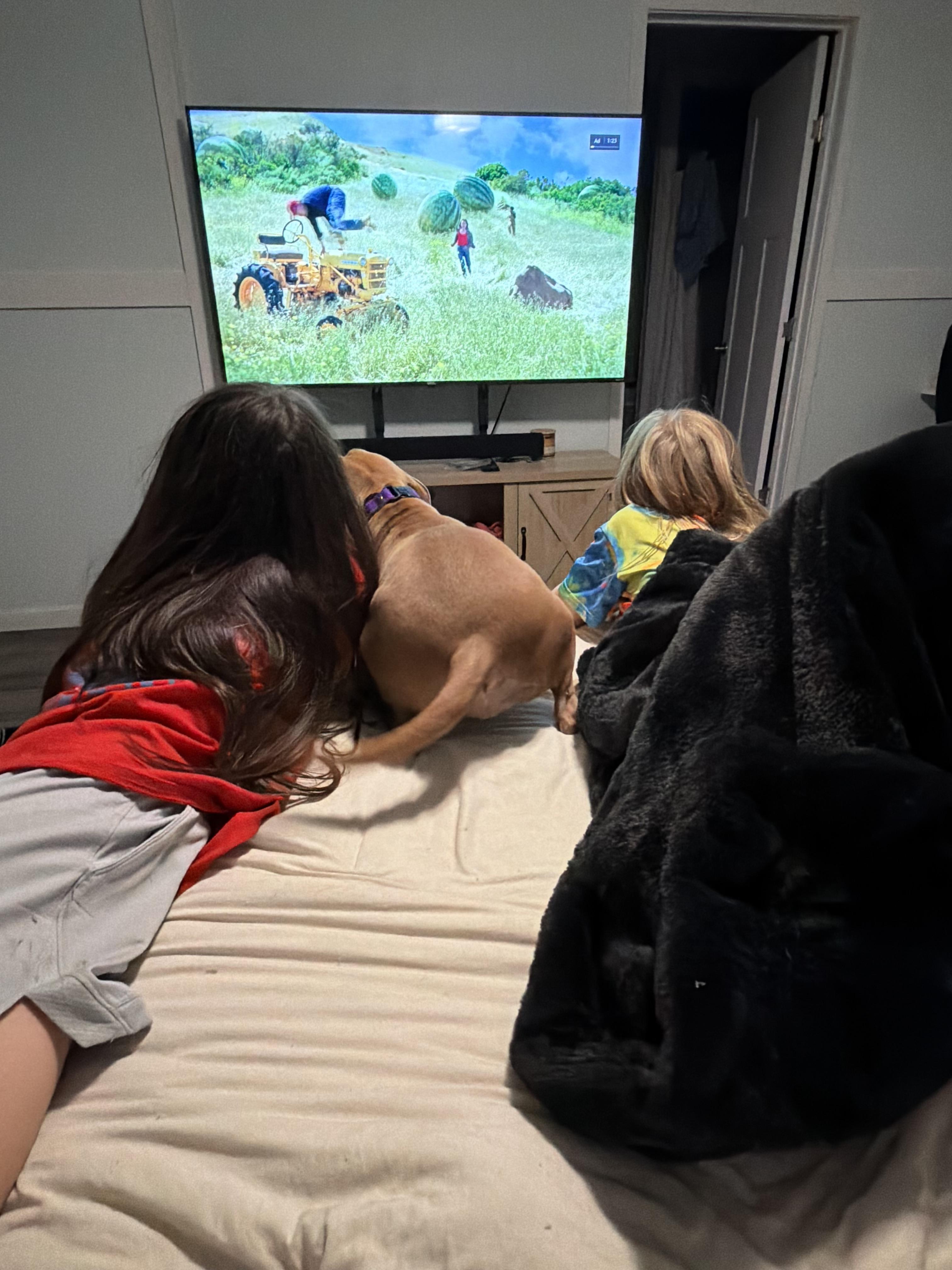 Enlarge Gracie May , an adopted Pit Bull Terrier in Darien, GA image 3/5