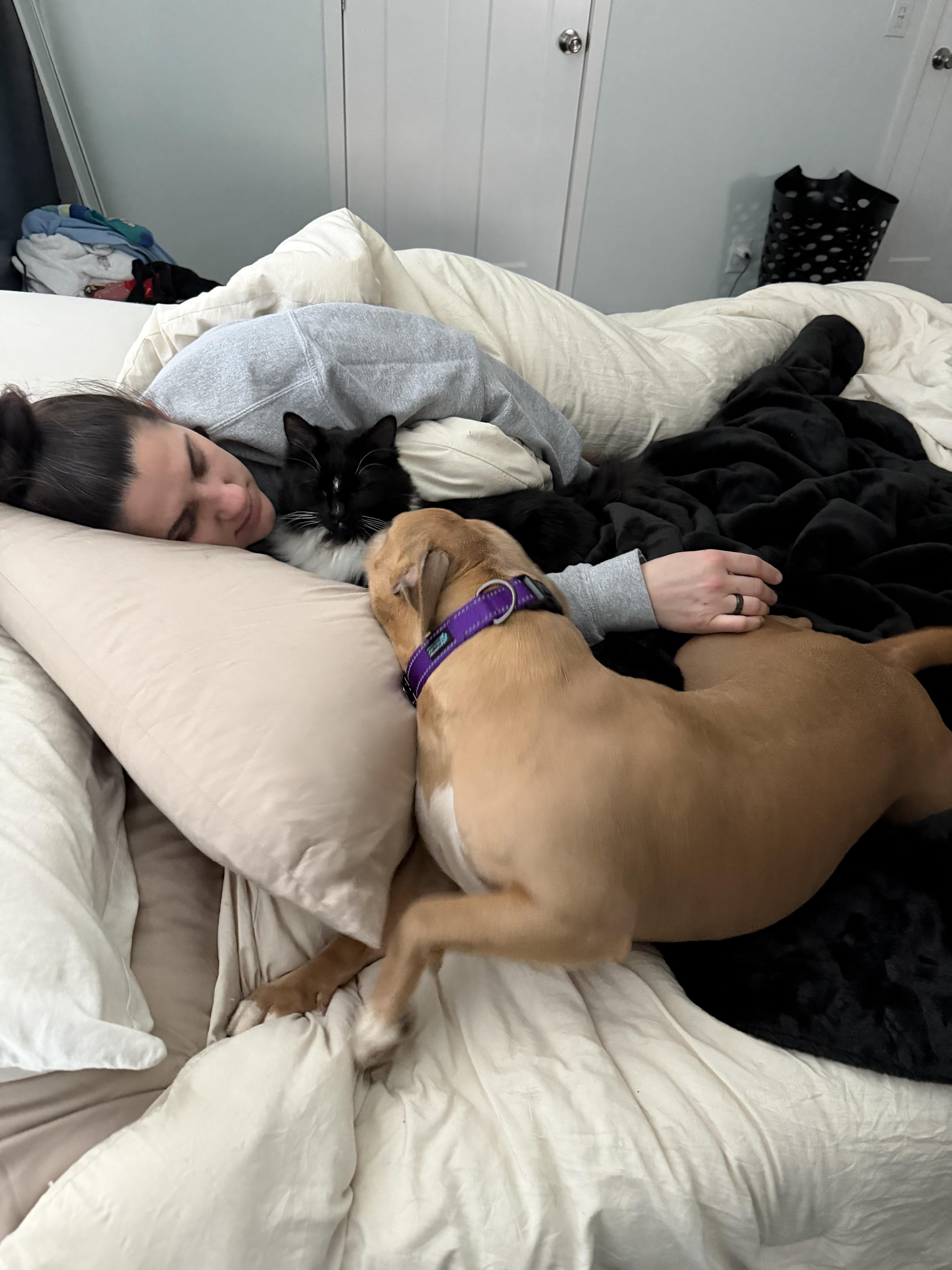 Enlarge Gracie May , an adopted Pit Bull Terrier in Darien, GA image 4/5