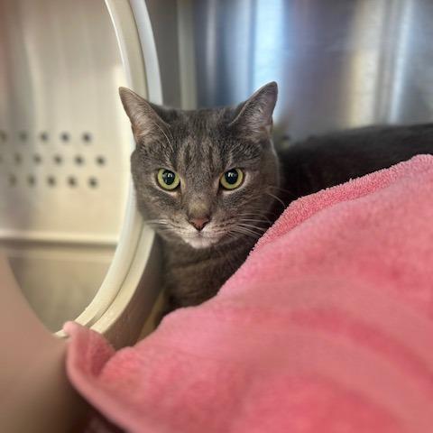 Jonathan — thumbnail 2