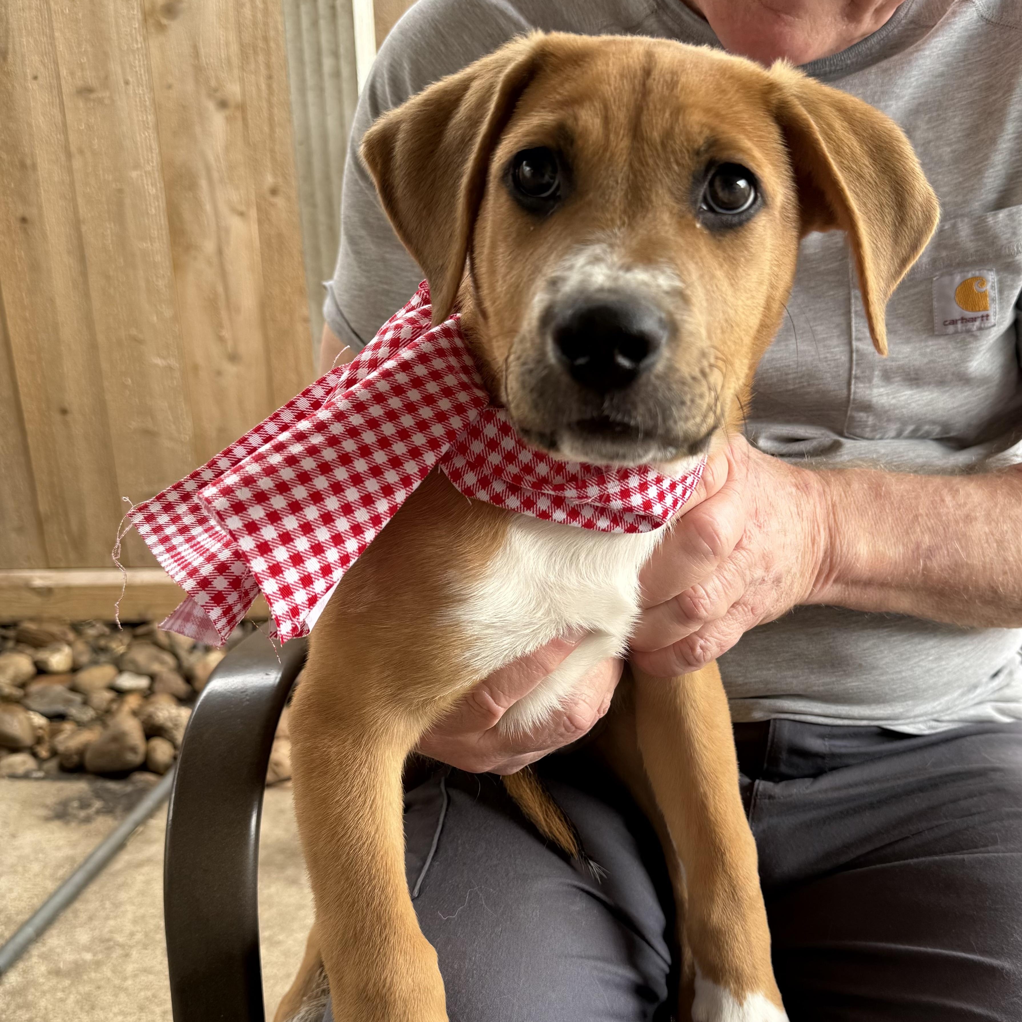 Sky Valentina — thumbnail 2