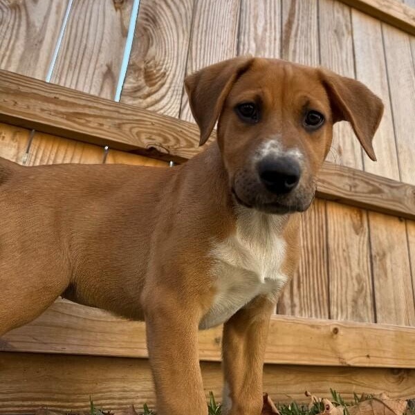 Sky Valentina — thumbnail 3