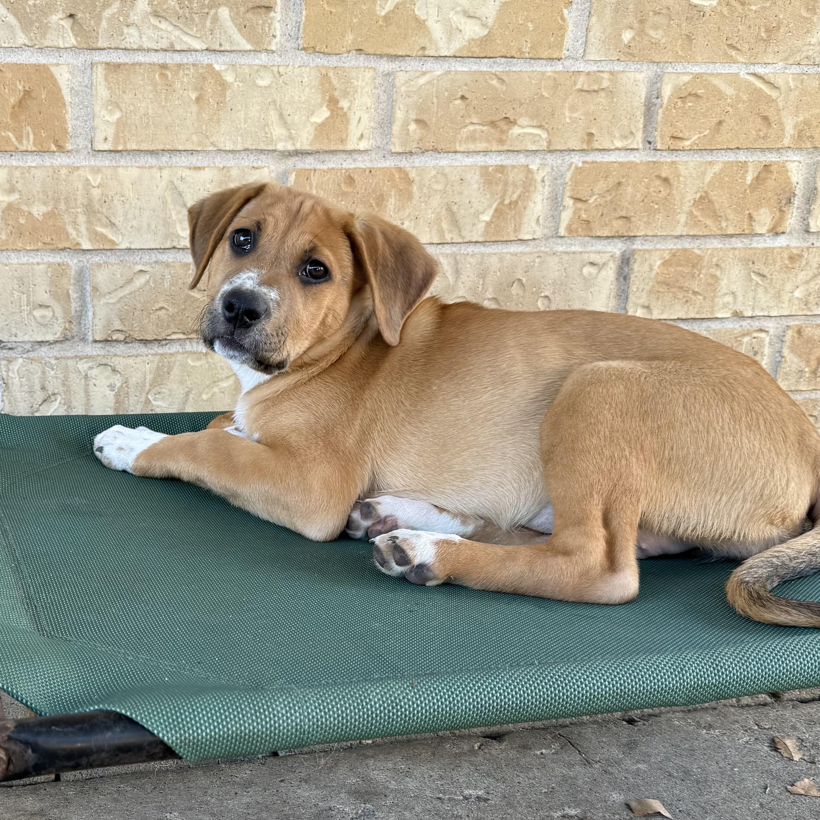 Sky Valentina — thumbnail 4