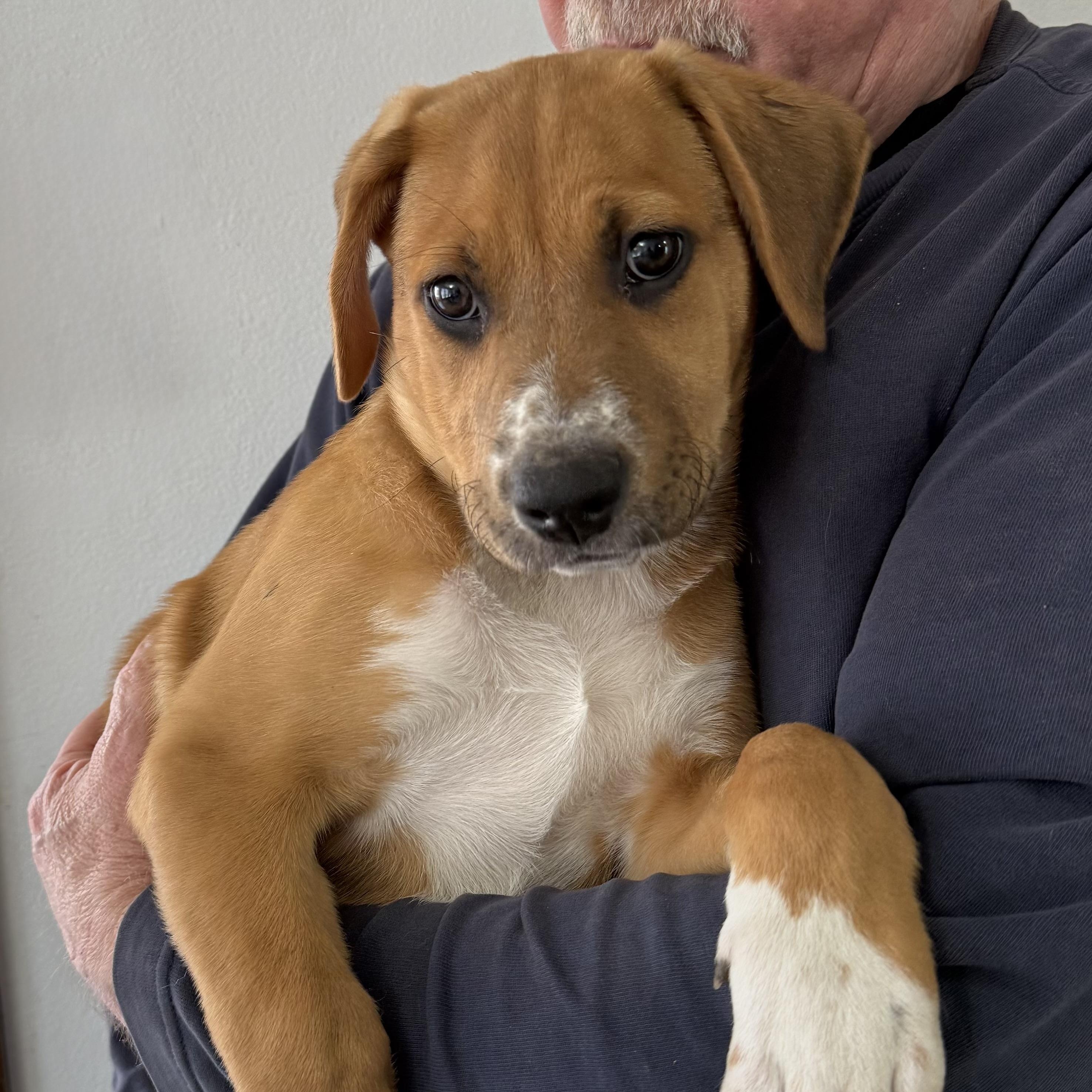 Sky Valentina — thumbnail 5