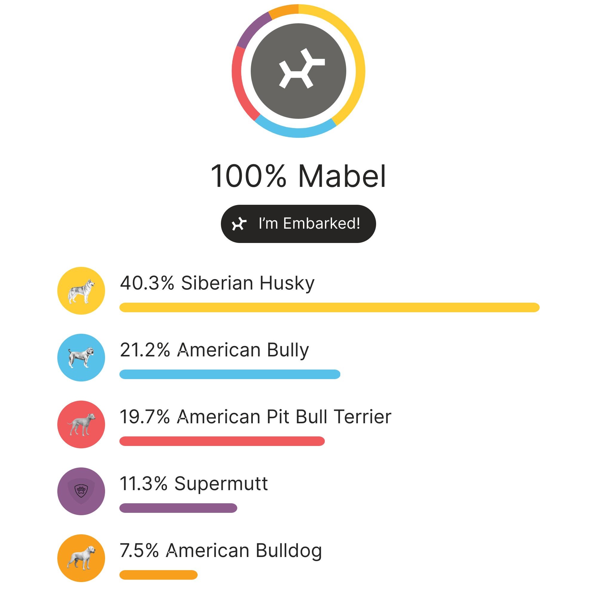 Mabel, a Adopted Siberian Husky in Mount Holly, NC image 2/6