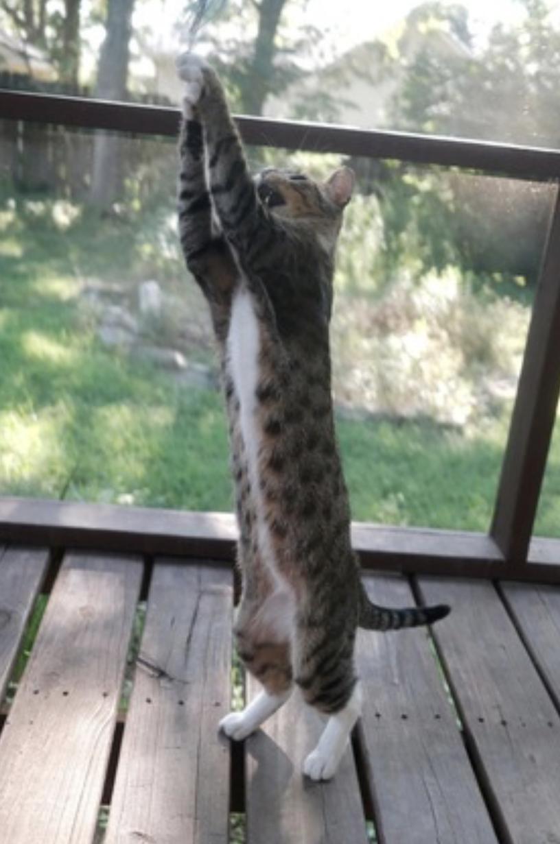 Chalky and Rusti — thumbnail 2