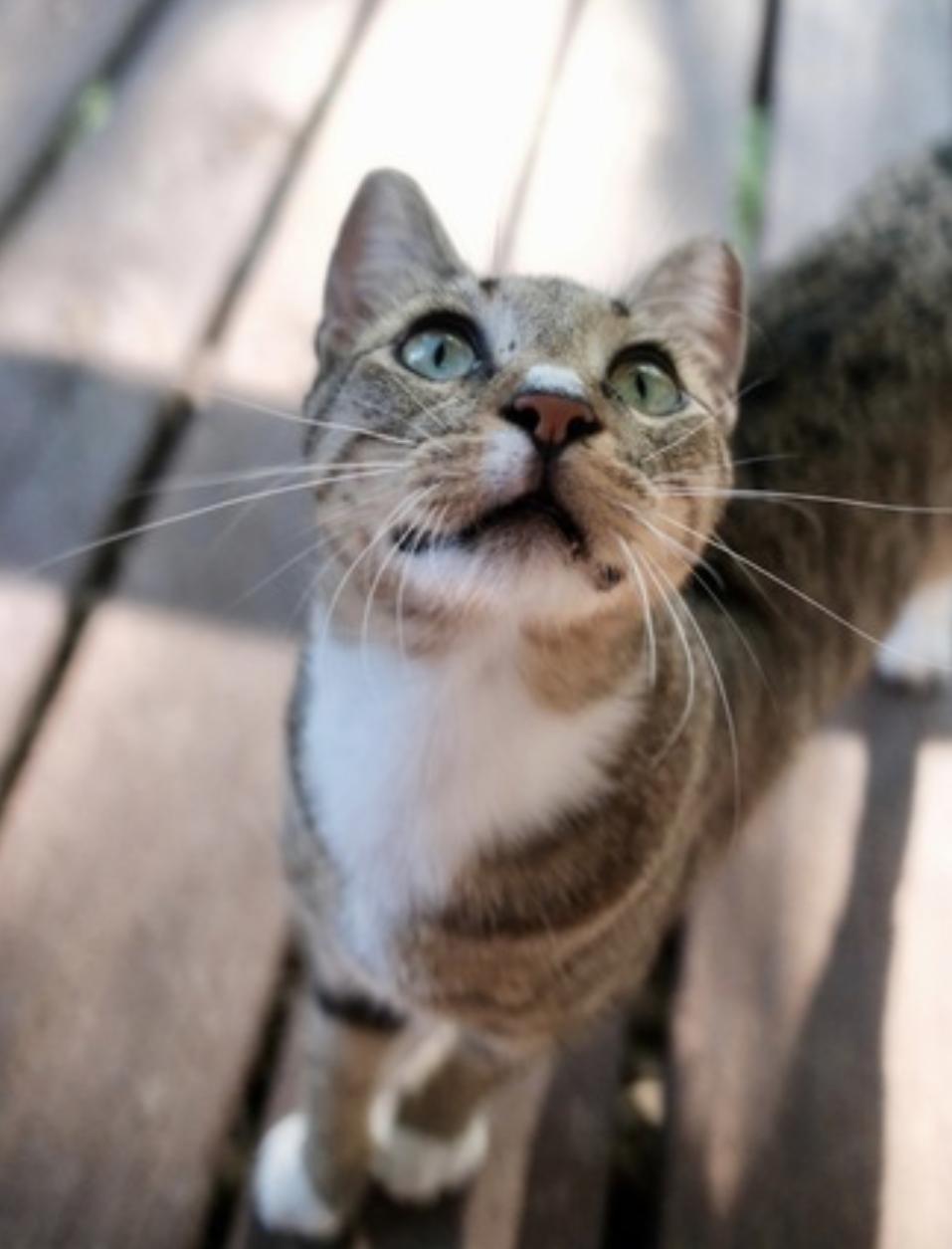 Chalky and Rusti — thumbnail 4