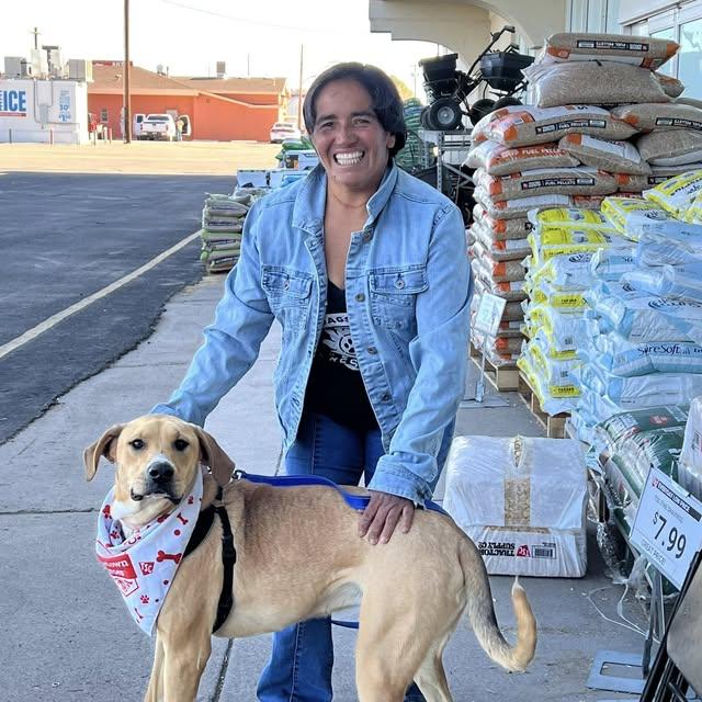 Tulip, a Adoptable mixed breed in Deming, NM image 1/5