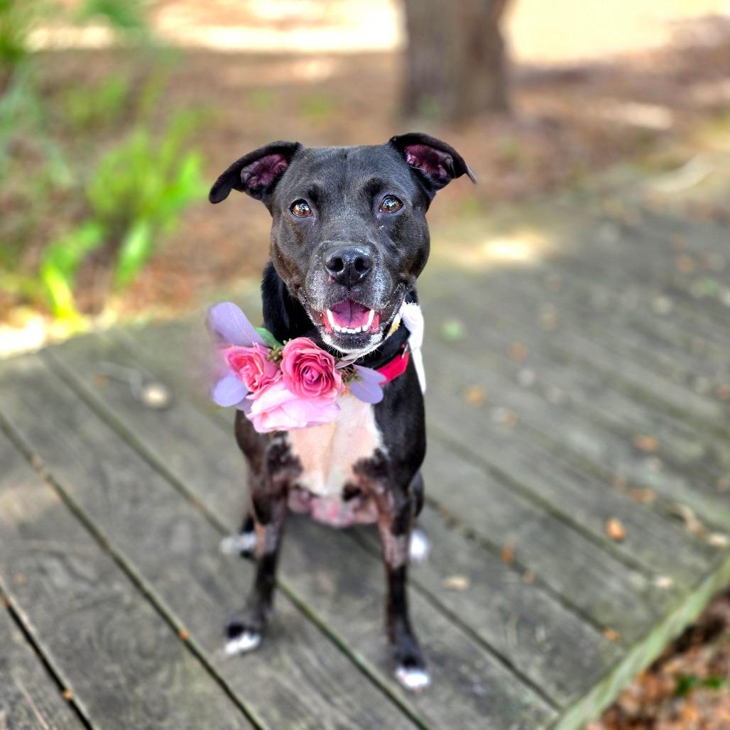 Tiana — thumbnail 2