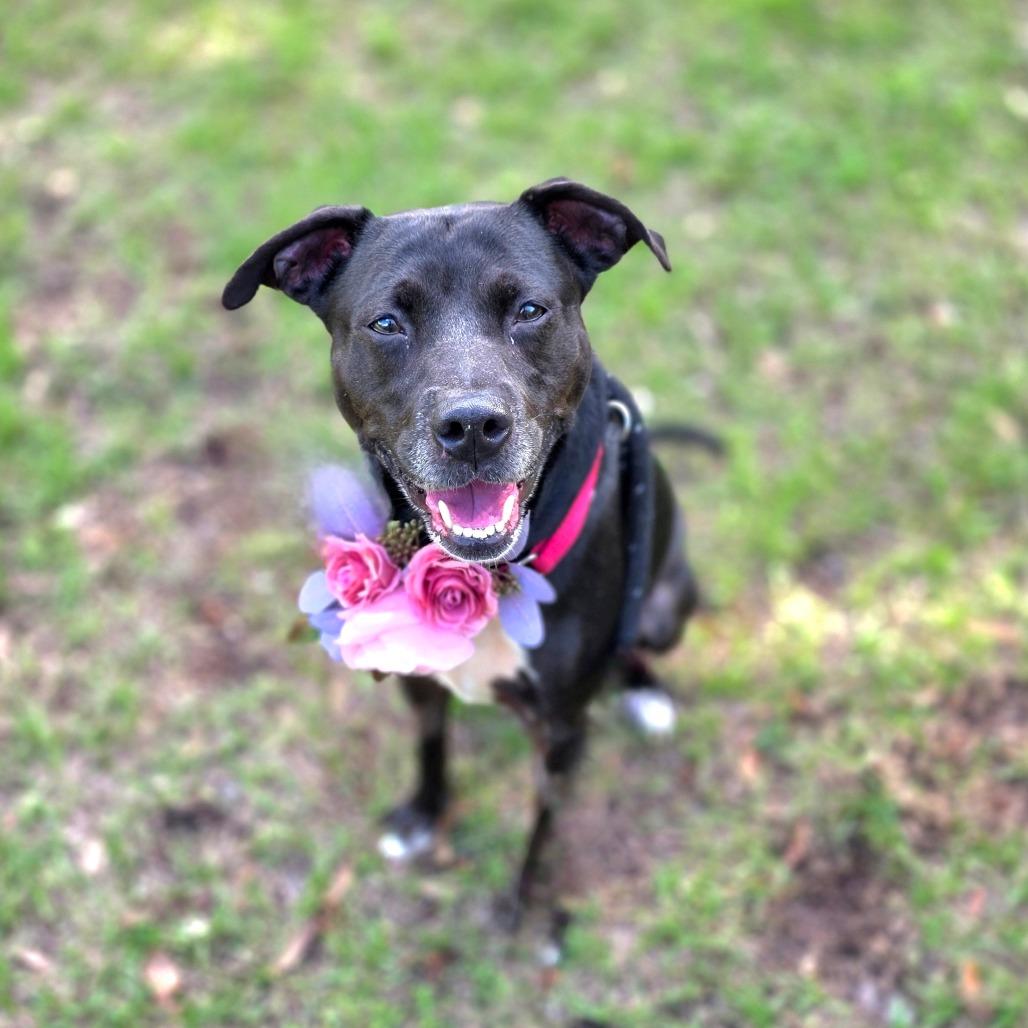 Tiana — thumbnail 3