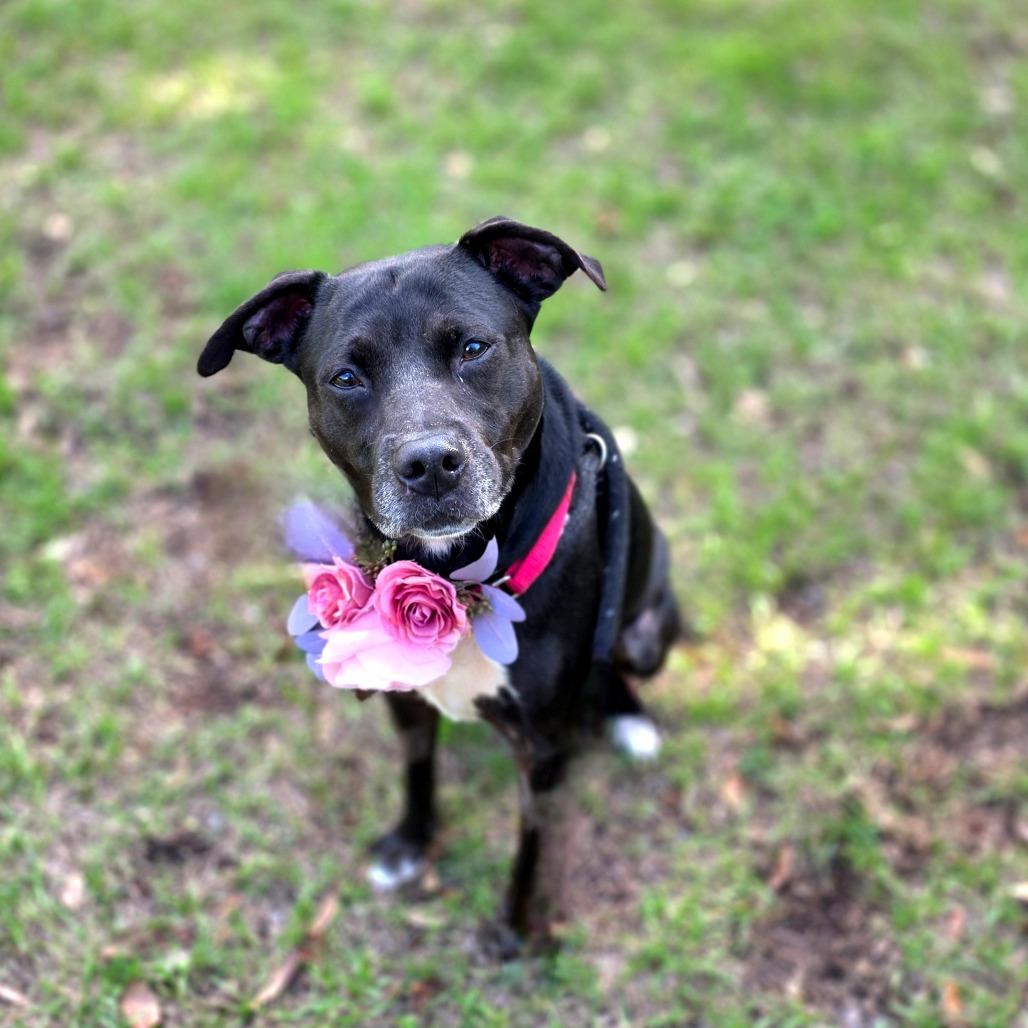 Tiana — thumbnail 4